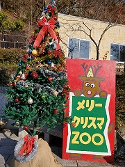 須坂市動物園　メリークリスマＺＯＯ